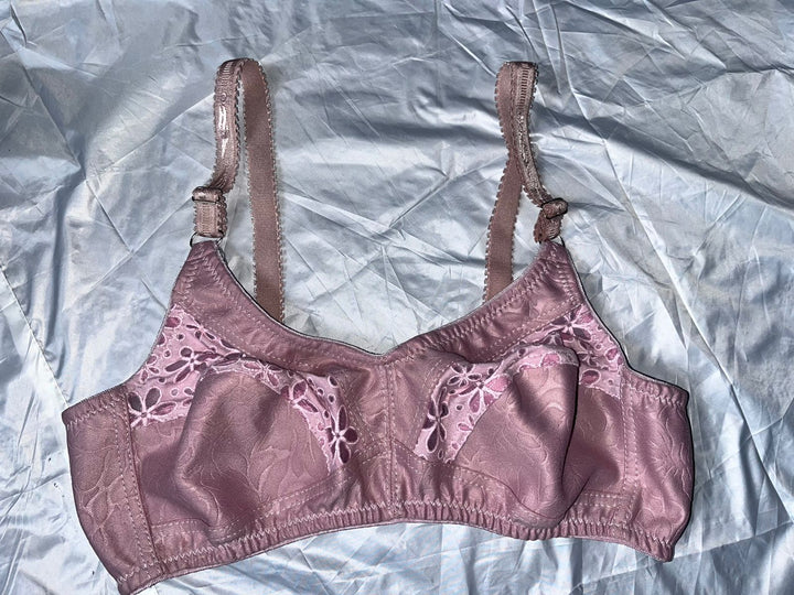 Blush Whisper Bra (chikankari details)